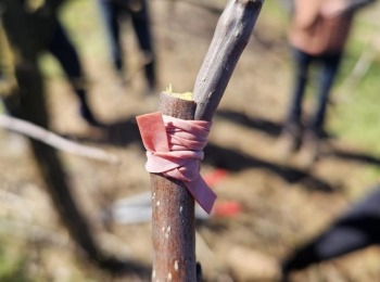 Razvojni centar Ličko-senjske županije2 dan Yitnik (4)